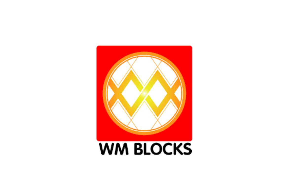 7 برند مینی فیگور لگو که باید بشناسید 2. مینی فیگور های WM BLOCKS